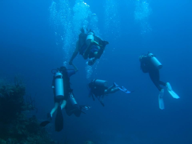  diving course 